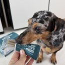 신진덴탈 이미지