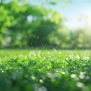 2025년 4월(넷째주) 성장반 훈련[종료] 이미지