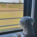 와갱이팬션 이미지