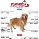 재생동물병원 이미지