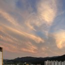 네네치킨(벌교) 이미지