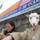 카페마온 | 마창진 여행의 모든 것 | 2026 함안 낙화놀이축제