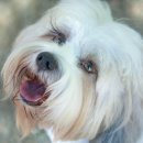 아이펫 동물병원 이미지