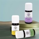 올데이허브 이미지