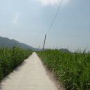 용산진입로 이미지