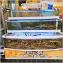 황금시장_시장내쉼터벽면_#1 | 속초 중앙시장 맛집 대게 홍게 직판장 대게여왕