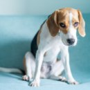 박순석농장 이미지