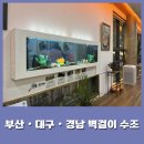 벽걸이수족관 | 대구 유치원 벽걸이 수조 설치 후기 - [아쿠아월 전문 관리]