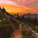 영혼(靈魂)을 일깨우는 벗(朋)을 찾아라 / 법정스님(영상글 첨부) 이미지