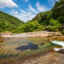 도림사 오토캠핑장 이미지