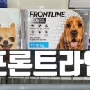 중앙대성약국 네이버블로그