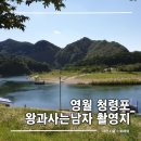 메타길 | 강원도 영월 아이와 가볼만한곳 청령포 장릉 한반도지형 뗏목 체험 후기