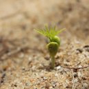 곡성-147 이미지