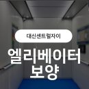✅ 17인승 엘리베이터 보양 작업 후기 | 대구 대신센트럴자이 | 인테리어 전 필수 시공!