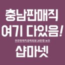 에스 앤 제이 스포츠 이미지
