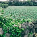 서당골경로당 이미지