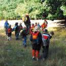 숲속유치원 이미지