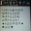 10월12일(토)서울경마 승부경주 적중내역 입니다.. 이미지