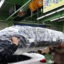 윙바이오 이미지