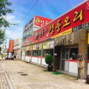 청둥이청둥오리 이미지