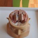 한방생명과학관 이미지