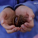 삼화사노인요양원 이미지