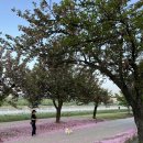 미사경정공원 이미지