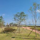 (주)녹색산업 이미지