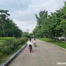 여의도공원인라인대여소 이미지