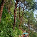 금원산 자연휴양림 이미지