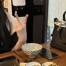 털보허파