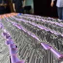 퍼스트태권도 파워점핑 이미지