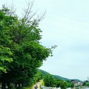 북한강 자전거도로6 이미지