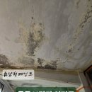 목동11단지아파트 | [양천구 목동 11단지아파트] 베란다 탄성코트 시공 후기 -누수, 곰팡이, 결로방지 인테리어 리모델링