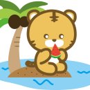 [고려대학교 박물관]꾸미의 수장고 탐험- 조선 후기 장신구 모음집