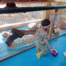 수성랜드 이미지