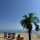 양양 아담하우스 이미지