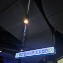 서해동물병원 | 시흥해양생태과학관 서울 근교 주말 연휴 아이랑 갈만한 곳 내돈내산 시흥 거북섬 예약 주차 꿀팁 후기