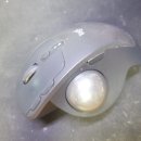 동수북로 이미지