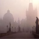 신비민박 이미지