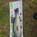 월산낚시터(월산저수지) 이미지