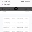 에버랜드쿠치나마리오 네이버블로그