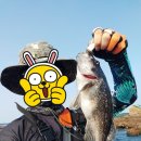 유리네민박 | 장고도 4박5일 여름휴가 루어낚시 후기