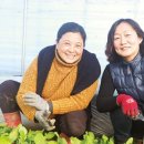 성인농장 이미지