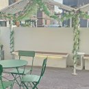 고색애견 이미지