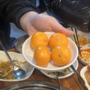 조아황금돼지