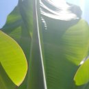 추대농장 이미지