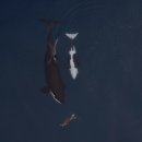 D00854 National Geographic