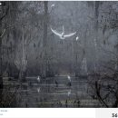 Morning Lake 이미지