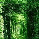 백세시대 이미지